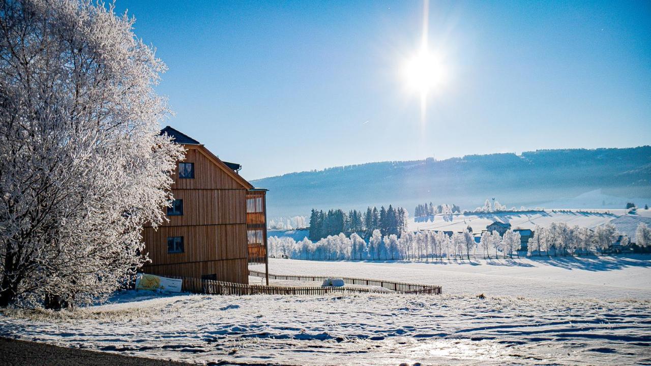 Haus Weigt Apartamento Mariapfarr Exterior foto